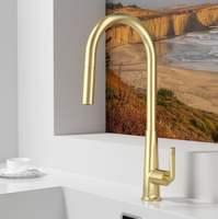 Robinet de cuisine moderne en or brossé avec douchette extractible et flexible pour évier