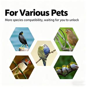 Fabrika toptan papağan kafes Aviary büyük kuş-yürüyüş cihazı açık taşınabilir çevre dostu plastik kafes özelleştirme kabul - Product Image 3