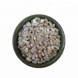 Grano <span class=keywords><strong>de</strong></span> <span class=keywords><strong>trigo</strong></span> integral orgánico <span class=keywords><strong>de</strong></span> alta calidad <span class=keywords><strong>de</strong></span> gran venta a precio barato <span class=keywords><strong>granos</strong></span> nutritivos y saludables - Product Image 6
