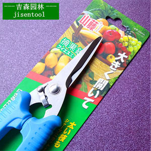 Sécateur manuel Jisentool 200 mm en acier inoxydable à lame coupante, manche bleu, pour la cueillette des fruits et des vignes - Product Image 1