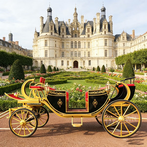 Calèche royale électrique entièrement fermée avec roues solides, chariot de luxe résistant aux intempéries pour toutes les saisons, zones touristiques et stations balnéaires - Product Image 1
