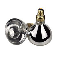 Ampoules thermiques pour buffet d'aliments, lampes pour restaurant ou une promotion, 220V 275W, 2 pièces