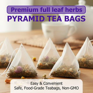 OEM Private Detox Tea Pyramid Bags with Senna Leaves Supports Night Cleanse Weight Loss Metabolism Immune Health Detox Tea Blend - Product Image 3
