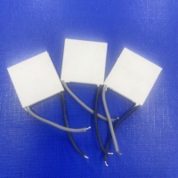 Module de refroidissement thermoélectrique Peltier à semi-conducteurs TEC haute puissance 62*62mm, haute capacité de refroidissement