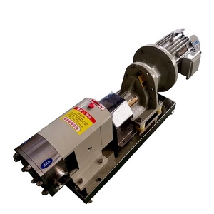 RP Series Stainless Steel High Viscosity Single Stage High Pressure Horizontal Rotary Lobe <b>Pump</b> - Product Image 3