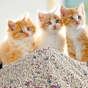 Üretici Pet ürünleri bitki sterilizasyonu bentonit kedi kumu