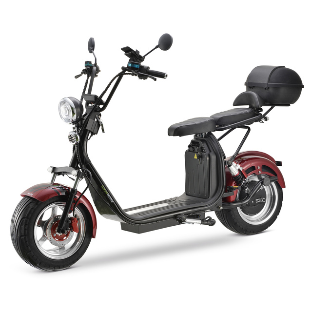 High Speed Lithium Battery Electric Two-Wheel Scooter 60km/h Disc Brakes 55 Km  Height-adjustable Handlebar Commuter Motorcycle