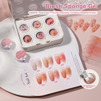 Missgooey Coussin à 6 grilles Gel éponge Blush à haute pigmentation Coussin dégradé Pat Pat Gel Nail Art Ombre Blush Effet de mélange
