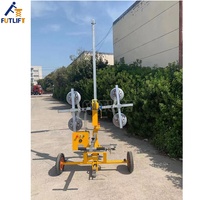 Steelflex Élévateur à flèche télescopique Élévateur à vide en verre Chariot élévateur mobile manuel pour restaurants et hôtels au détail-État neuf