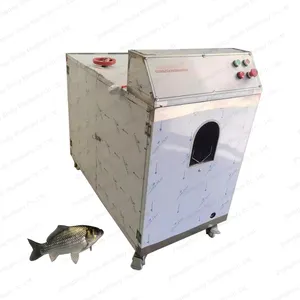 Máquina de gravação de peixes comercial, sardinhas espanholas, pequena máquina de couro cabeludo de carpa