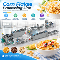 Machine extrudeuse automatique de céréales soufflées en acier inoxydable, petite capacité, pour flocons de maïs et équipement de fabrication de céréales pour le petit-déjeuner