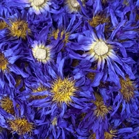 Thé aux fleurs de lotus bleu du Yunnan, thé aux fleurs séchées, 0,5 kg, emballage sous vide, feuilles en vrac, qualité supérieure
