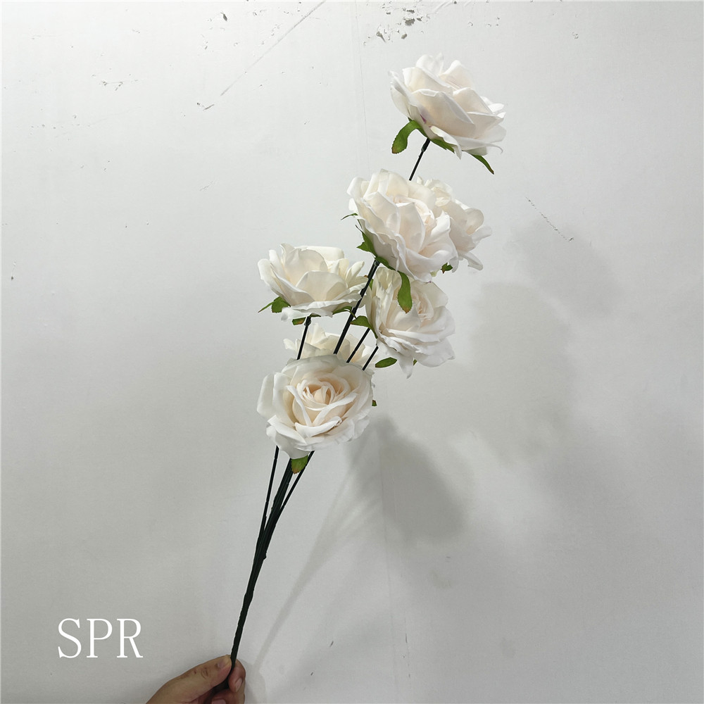 SPR-AF23823-18b