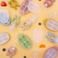 Op Maat Gemaakte Kinderen Bijtring Bijtring Veilige Pasgeboren Baby Fopspeen Siliconen Ijsblokje Schimmel Fruit Feeder Set