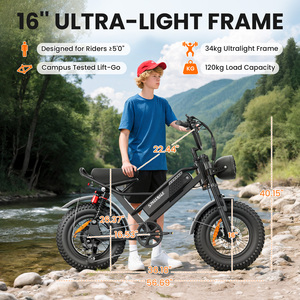 Bicicleta Eléctrica Infantil de 750W con Neumáticos Anchos, Bicicleta Eléctrica de Montaña, Venta al por Mayor en Almacén de EE. UU., Mini Bicicleta Eléctrica para Niños, Lista para Dropshipping - Product Image 6