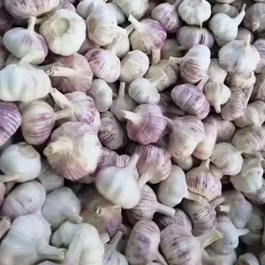 2023 New Crop Normal White Garlic Shandong Fresh Garlic Manufacturer Low Price Garlic