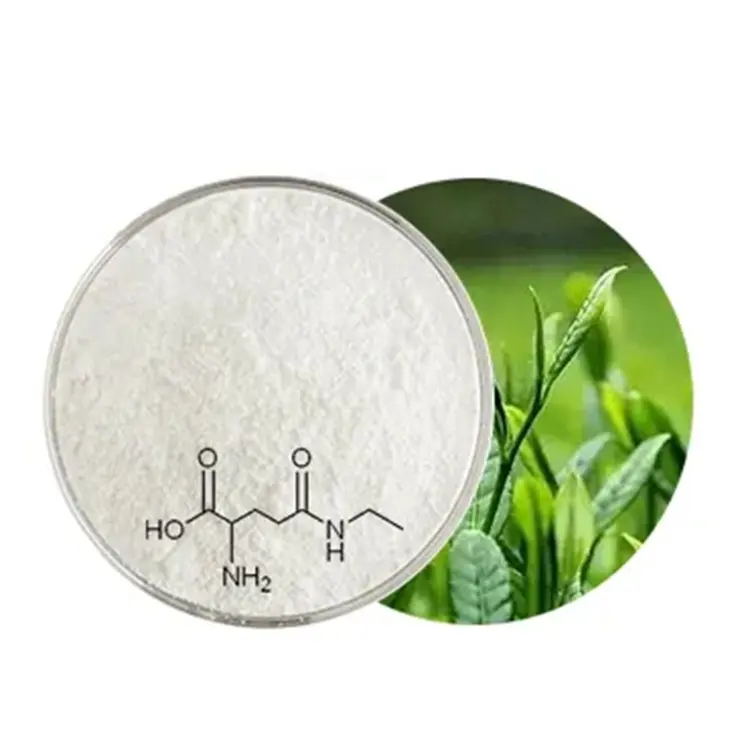 Healthcare Supplement Dropshipping Plant Extract Organic Pure Green Tea Extract L-Theanine Powder