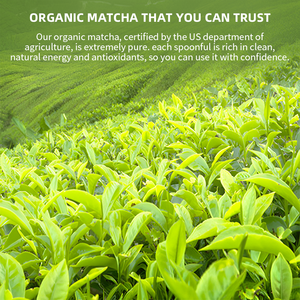 Té Verde Matcha Orgánico Puro Instantáneo de Alta Calidad para Adelgazar, Certificado HALAL, Grado Ceremonial, Venta al Por Mayor de Fábrica OEM - Product Image 3