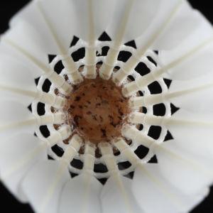 Volants de <span class=keywords><strong>badminton</strong></span> en plumes d'oie à haute durabilité pour les compétitions de <span class=keywords><strong>ligue</strong></span> - Product Image 6