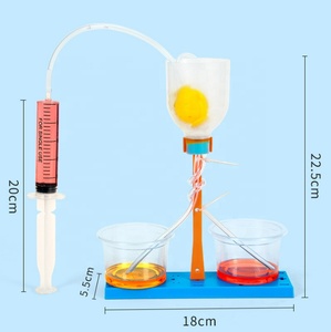 Modèle de nerf rénal en plastique pour petit expérience scientifique DIY, technologie de filtration rénale, pour enfants de 5 à 7 ans et collégiens, urine simulée - Product Image 4