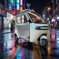 Tricycle Électrique Léger 2026 Mini 60V 1000W à Trois Places, Scooter Électrique Fermé pour Adultes, Mini Tuk-Tuk Électrique pour Trajets Domestiques