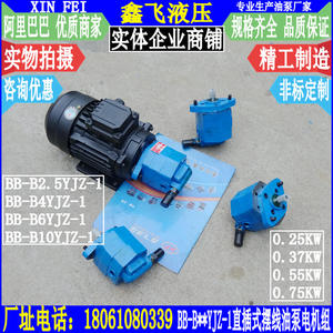 Conjunto de Motor de Inserción Directa BB-B4YJZ-1 B6YJZ B10YJZ B2.5YJZ con Bombas Hidráulicas de Engranajes Cicloides con Regulación de Presión - Product Image 1