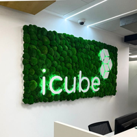 Enseigne murale LED avec logo en mousse, directement de l'usine, enseigne en mousse artificielle, enseigne murale verte, enseigne lumineuse avec logo, enseigne de réception de bureau