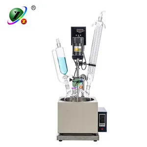 Laboratorium Distillatie Instrument 5L Enkele Laag Glas Reactor