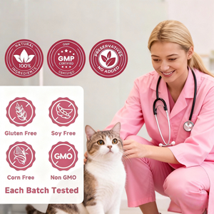 Complément alimentaire pour chiens OEM/ODM sous marque privée : Friandises molles multi-collagène pour soutenir la santé des articulations et de la peau - Product Image 5