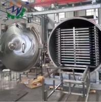 Commerciële automatische vriesdroogmachine 380V roestvrijstalen vacuümdroger voor fruit, groenten en voedselverwerking