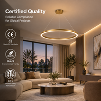 Vente en gros de luminaires suspendus circulaires à LED noirs modernes, design ultra fin pour salon, bureau, éclairage commercial