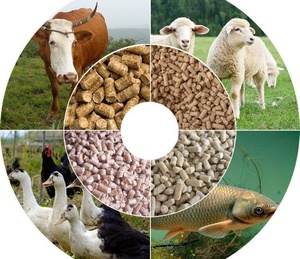 Dây chuyền sản xuất thức ăn viên cho gia súc và gia cầm 500-2000kg/h - Product Image 5