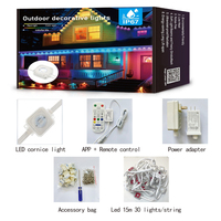 Vente chaude LED Pixel Point Éclairage DC24V Décoration Extérieure Étanche IP67 RGBIC Permanent LED Noël Pixel Lumières