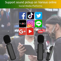 Kit de microphone de revers sans fil à deux canaux pour YouTube Streaming et interviews en plein air avec faible interférence