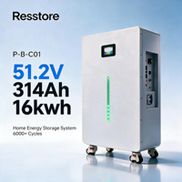 Batterie de secours solaire LiFePO4 51,2 V 16 kWh avec communication CAN pour stockage d'énergie hors réseau et utilisation avec onduleur