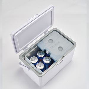 9-литровый термоконтейнер: Акция на изготовление индивидуальных торговых марок – идеальный подарок для предприятий. Термоконтейнер из пенополиуретана. - Product Image 3