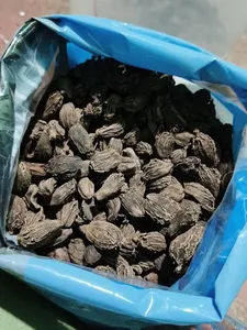 กระวานดำบาดีเอลาอิชิ (อะมอมัม ซับลาตัม) เครื่องเทศหอมเข้มข้น ฝักสีน้ำตาลเข้มขนาดใหญ่ ผิวหยาบ สำหรับทำการัมมาซาลา ดัลมาคานี - Product Image 2