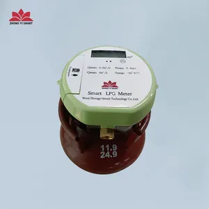 Mini contatore del gas gpl verticale utilizzato per bombole di acciaio con GPRS, contatore del gas gpl a bombola
