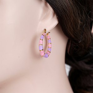 304 316 spot goods Trendy Pink Purple Resin Hoop Earrings Gold Plated Women's Party Jewelry Fashion Statement Ear <b>Rings</b> - Product Image 6
