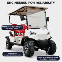 Carrito de Golf de Gasolina de 4 Personas y 4 Tiempos, Motor de 300 CC Refrigerado por Agua, Neumáticos Todoterreno de 14 Pulgadas, Capacidad de Subida del 25%, Uso en Resorts, Parques y Campus