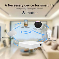 Matter Gateway Hub 2026 con Zigbee 3.0 Inalámbrico, Tuya Smart Life Gateway Hub THP10, Apple Home, HomeKit, Control de Casa Inteligente