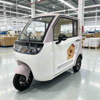 Tricycle Électrique à Trois Roues Neuf, Véhicule Énergétique, Tricycle Électrique Fermé pour Passagers, Prix de Gros