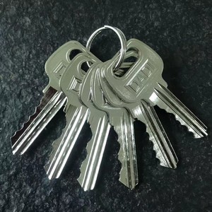 Universal Keys For Electrical Wells 6Pcs Iron Material Apartment Door Lock Accessory <b>D</b> 6 <b>Model</b> 12 Specification 61 - Product Image 4