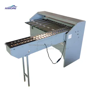 HIMORE Automatic Egg Grader Machine Egg Grading machine With Lowest Price