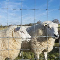 Cerca para Ganado Galvanizada de Alta Calidad, Resistente a la Oxidación, Duradera, 1.5m*100m, para Ranchos, Ganado, Cabras, Caballos, Ciervos, Ecológica, con Certificación CE, Agrícola