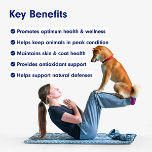 Suplemento multivitamínico <span class=keywords><strong>para</strong></span> mascotas 22 en 1 OEM/ODM con vitaminas A E B12 y antioxidantes <span class=keywords><strong>para</strong></span> la salud inmunológica y articular - Product Image 5
