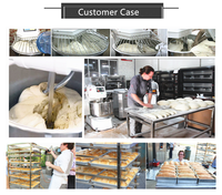 Mélangeur de boulangerie planétaire, outil industriel de qualité supérieure, à vitesse Variable, pour pâte à Pizza, 3 peignes