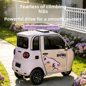 Tricycle <span class=keywords><strong>électrique</strong></span> fermé à deux portes pour usage domestique, destiné aux personnes âgées et aux femmes comme <span class=keywords><strong>moyen</strong></span> <span class=keywords><strong>de</strong></span> <span class=keywords><strong>transport</strong></span> - Product Image 2
