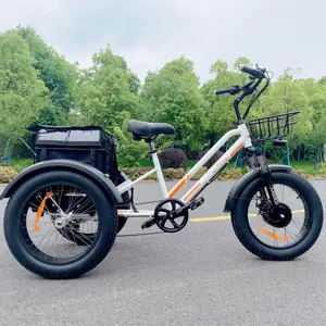 MEIGI E Trike จักรยานไฟฟ้า3ล้อ,สำหรับส่งพิซซ่าฟาสต์ฟู้ด