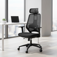 Chaise de bureau ergonomique moderne avec dossier en maille respirante, siège réglable et structure en plastique pour une utilisation prolongée à domicile ou au bureau
